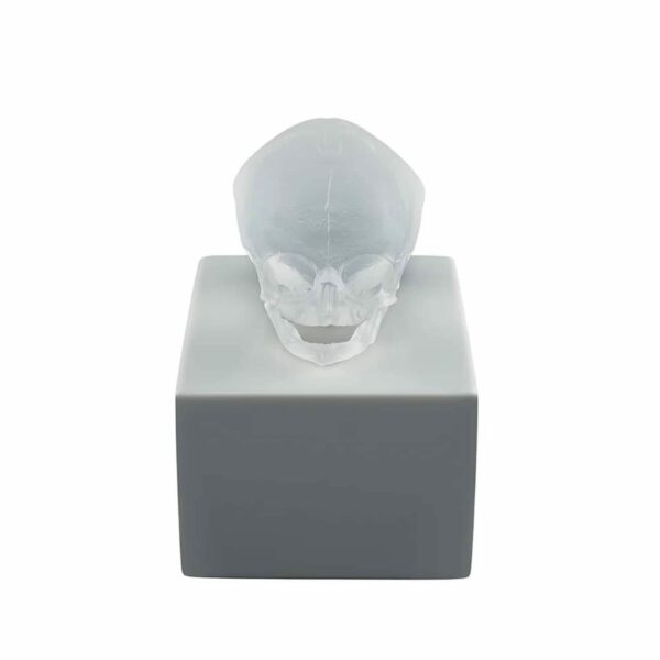 eternal-Memory-crane-cristal-incolore-satine-lalique