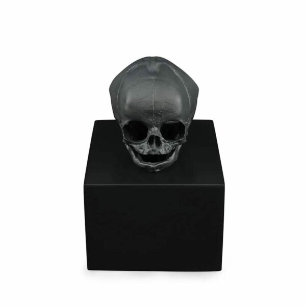 eternal-Memory-crane-cristal-noir-lalique
