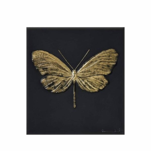 papillon-lalique-eternal-Hope-Damien-Hirst-noir-tamponne-or