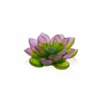 Fleur-decorative-verte-rose-Jardin-lotus-Daum