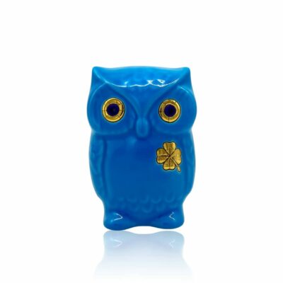 chouette-lucky-longwy-2025-bleu